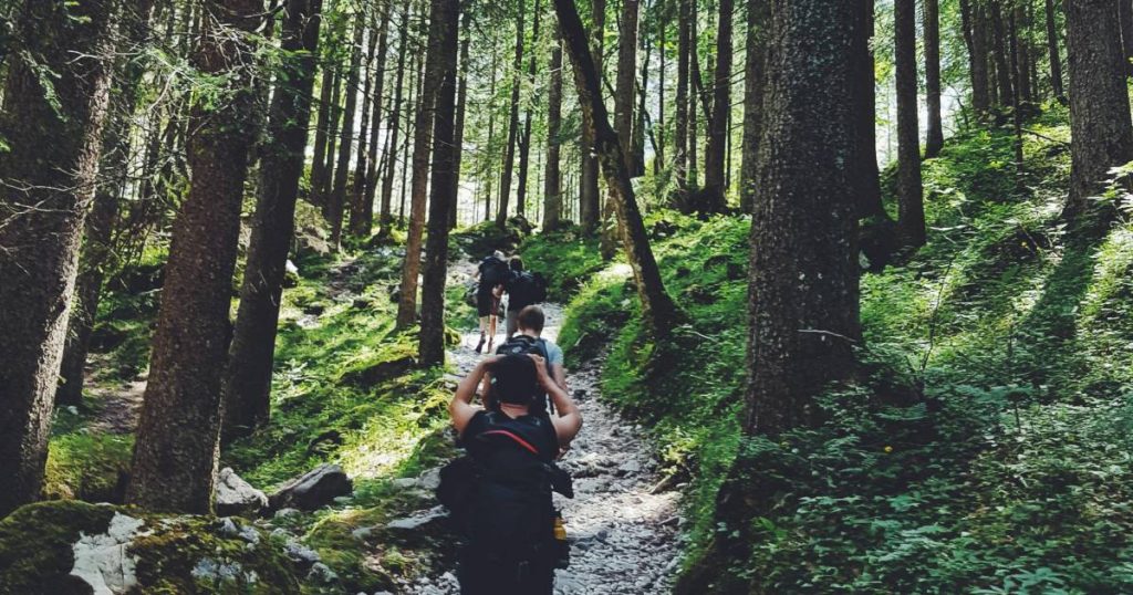 Des gens faisant du trail