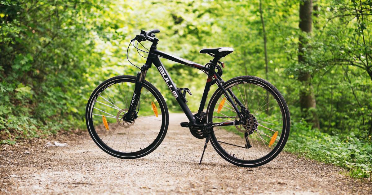 Un vélo dans la forêt 
